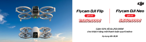 Flycam DIJ