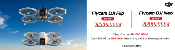 Flycam DIJ