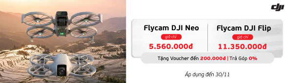 Flycam DIJ