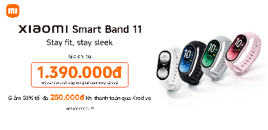 Band 11
